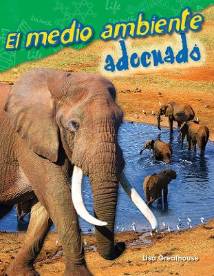 Cover of El medio ambiente adecuado