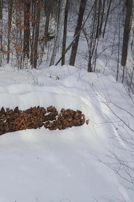 Cover of 2019 Weekly Planner Winter Woodpile Snowcovered 134 Pages