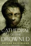 Book cover for Cathedral of the Drowned