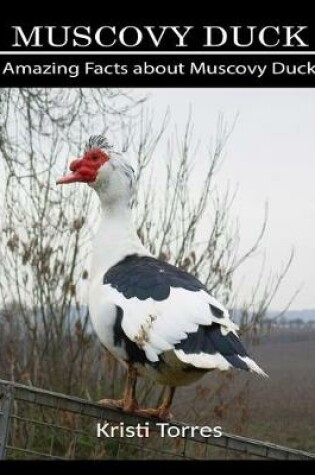 Cover of Amazing Facts about Muscovy Duck