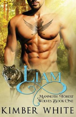 Book cover for Liam