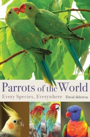Cover of Parrots of the World: Every Species, Everywhere