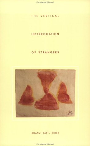 Book cover for The Vertical Interrogation of Strangers