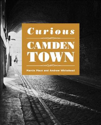 Book cover for Curious Camden Town