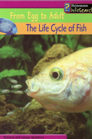 Cover of From Egg to Adult: The Life Cycle of Fish