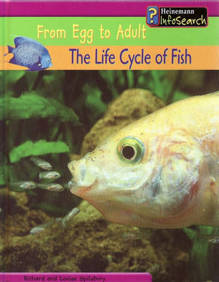 Cover of From Egg to Adult: The Life Cycle of Fish