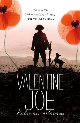 Book cover for Valentine Joe