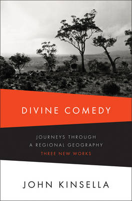 Book cover for Divine Comedy