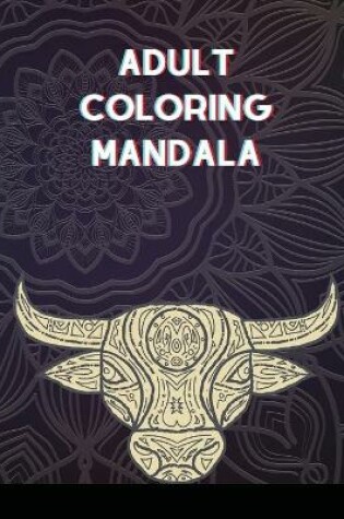 Cover of Adult Coloring Mandala