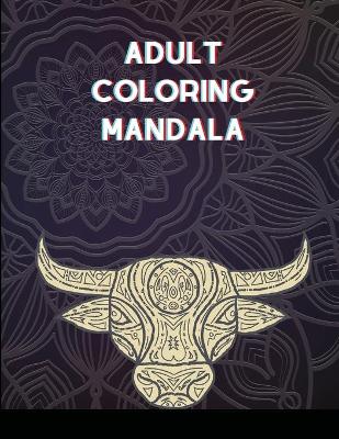 Book cover for Adult Coloring Mandala