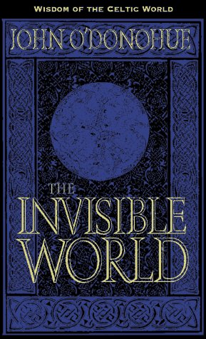 Book cover for The Invisible World