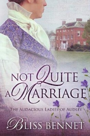 Cover of Not Quite a Marriage