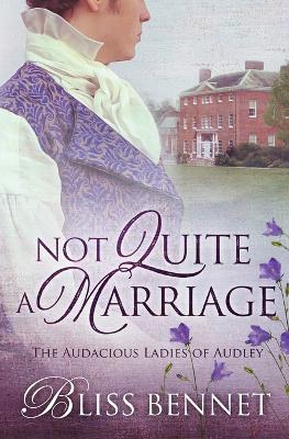 Book cover for Not Quite a Marriage