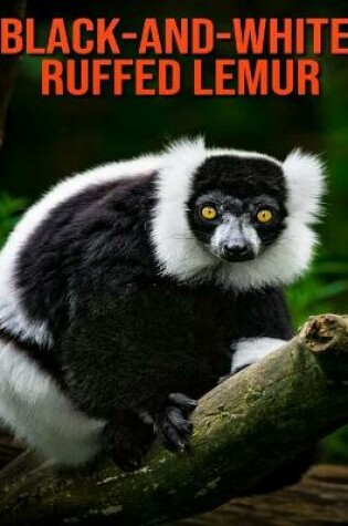 Cover of Black-and-White Ruffed Lemur