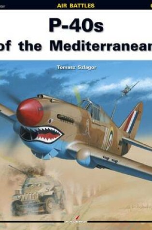Cover of P-40s of the Mediterranean