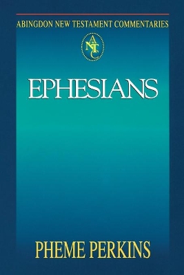 Book cover for Abingdon New Testament Commentaries