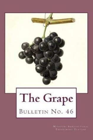 Cover of The Grape