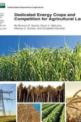 Cover of Dedicated Energy Crops and Competition for Agricultural Land