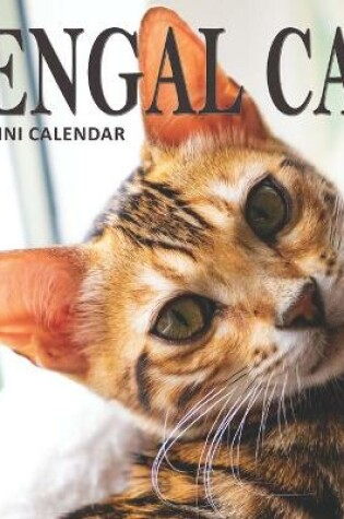 Cover of Bengal Cat