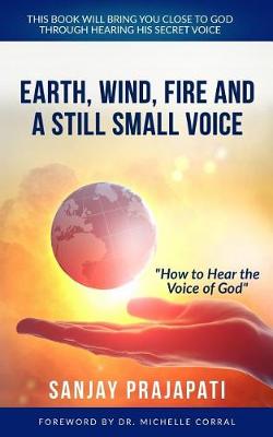 Book cover for Earth, Wind, Fire, and A Still Small Voice