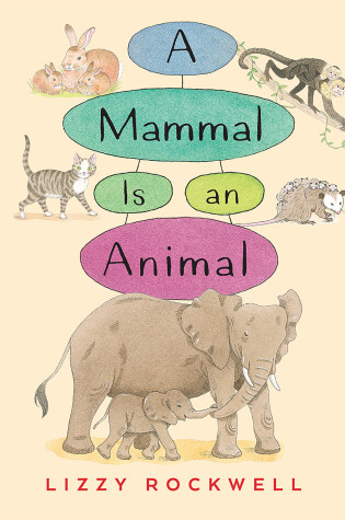 Cover of A Mammal is an Animal