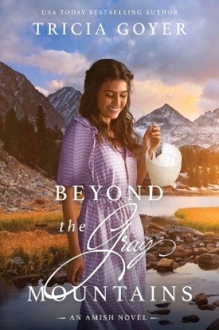 Cover of Beyond the Gray Mountains