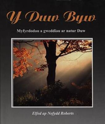 Book cover for Duw Byw, Y