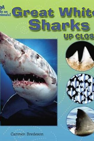 Cover of Great White Sharks Up Close