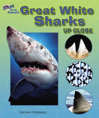 Book cover for Great White Sharks Up Close