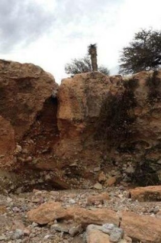 Cover of Cliffside in the Mexican Desert