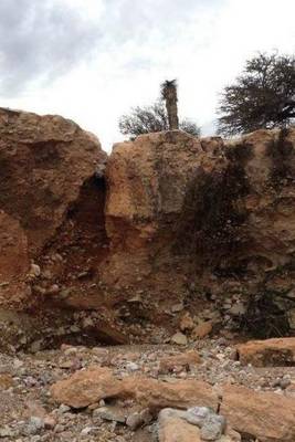 Book cover for Cliffside in the Mexican Desert