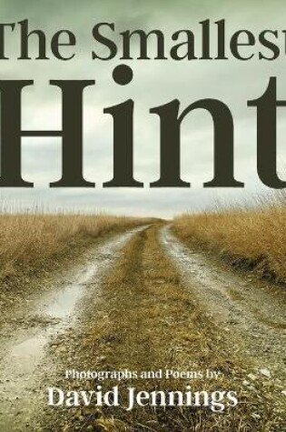 Cover of The Smallest Hint