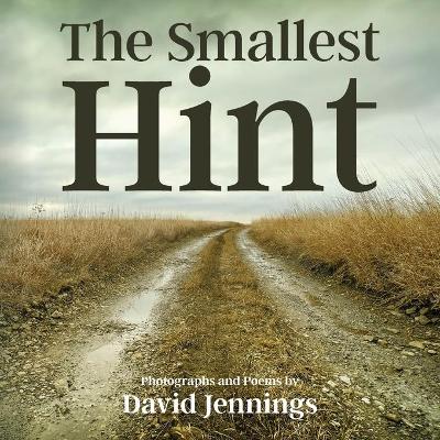 Book cover for The Smallest Hint