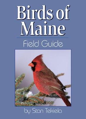Book cover for Birds of Maine Field Guide
