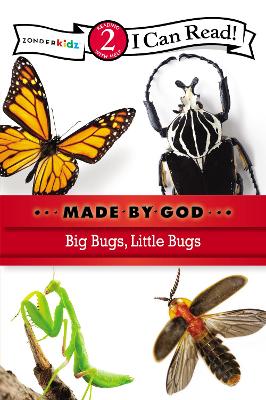 Book cover for Big Bugs, Little Bugs