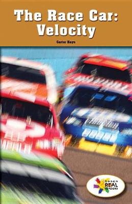 Book cover for The Race Car