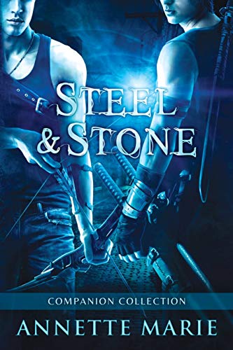 Book cover for Steel & Stone Companion Collection