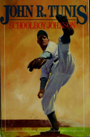 Book cover for Schoolboy Johnson