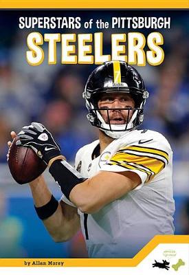 Book cover for Superstars of the Pittsburgh Steelers