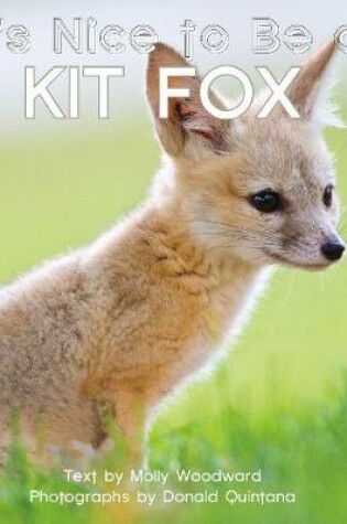 Cover of It's Nice to Be a Kit Fox