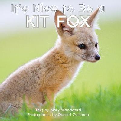 Book cover for It's Nice to Be a Kit Fox