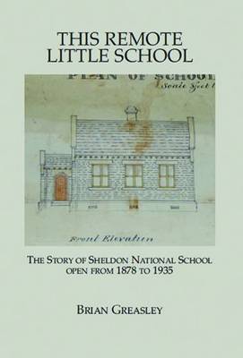 Book cover for The Remote Little School