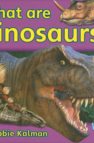 Cover of What Are Dinosaurs?