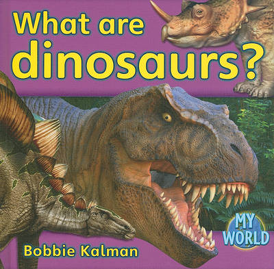 Book cover for What Are Dinosaurs?