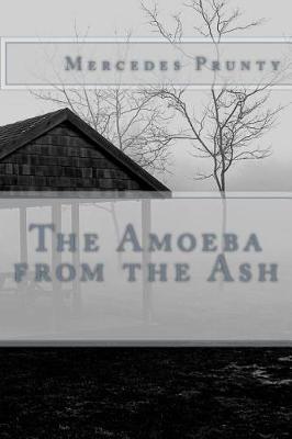 Book cover for The Amoeba from the Ash