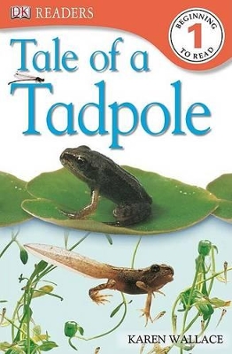 Book cover for DK Readers L1: Tale of a Tadpole