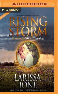 Book cover for Storm Warning, Season 2, Episode 2