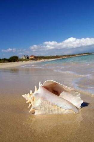 Cover of Conch Shell on Beach Journal