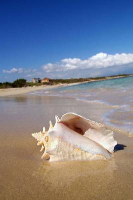 Book cover for Conch Shell on Beach Journal