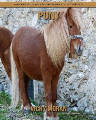 Book cover for Pony